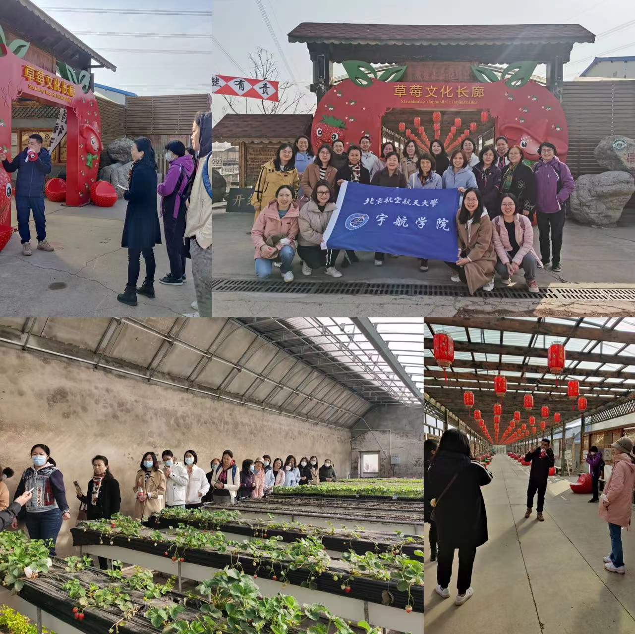 欧博abg(游戏)官网登录入口