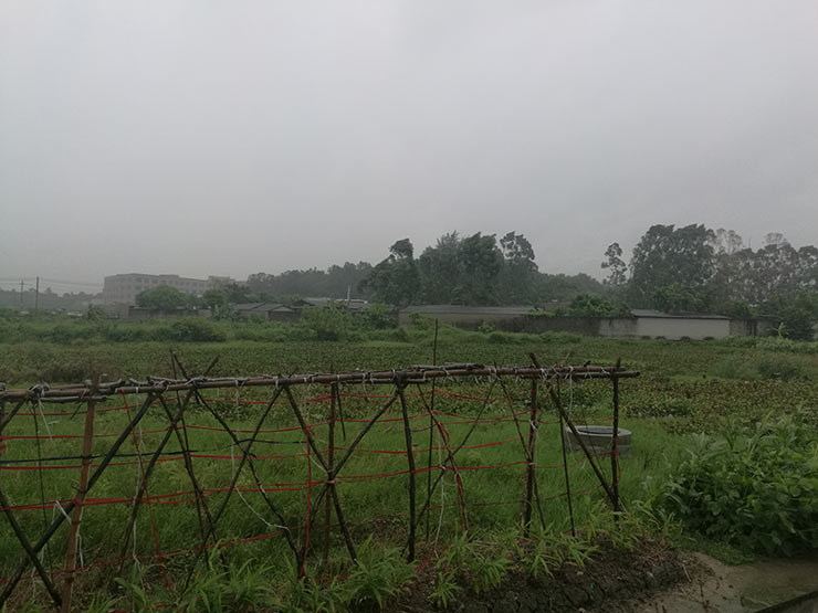 首页- 尊龙集团中国官方网站