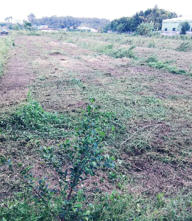 首页- 尊龙集团中国官方网站