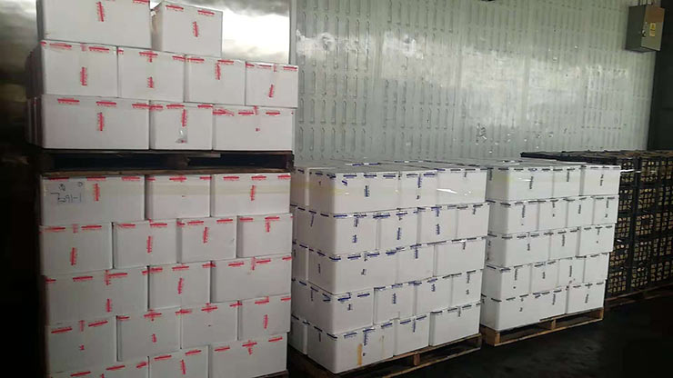 首页- 尊龙集团中国官方网站