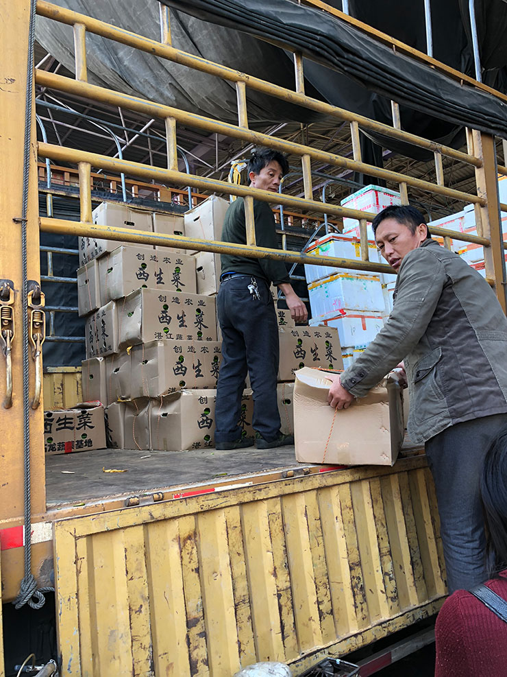 首页- 尊龙集团中国官方网站