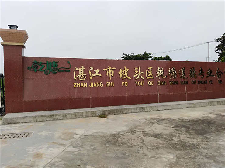 首页- 尊龙集团中国官方网站