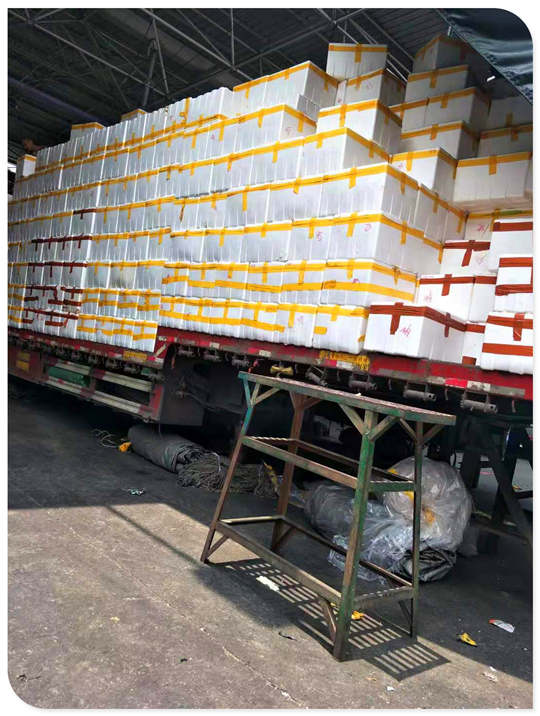 首页- 尊龙集团中国官方网站