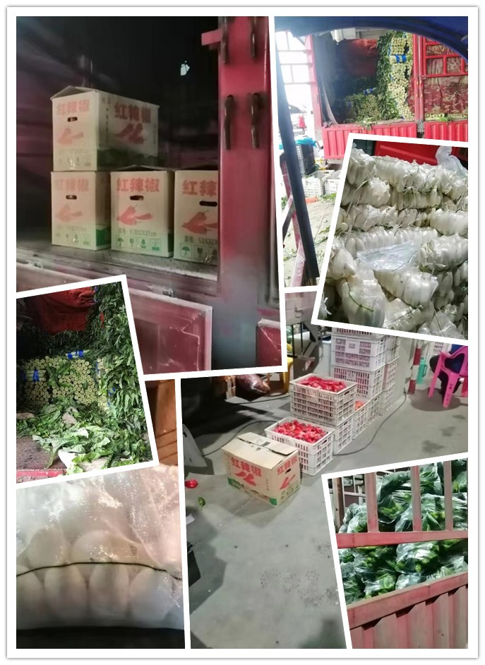 首页- 尊龙集团中国官方网站