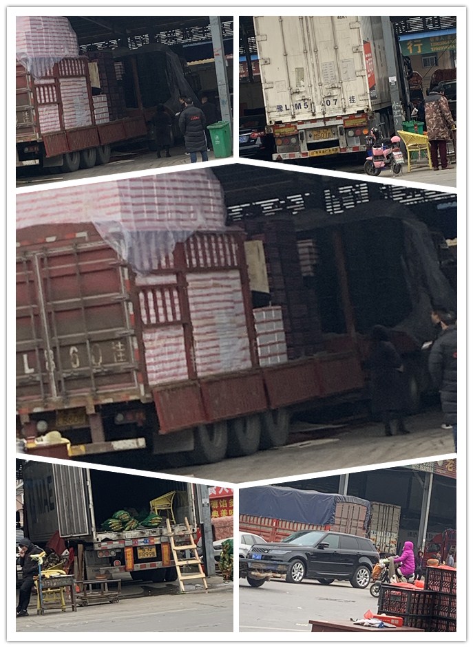 首页- 尊龙集团中国官方网站