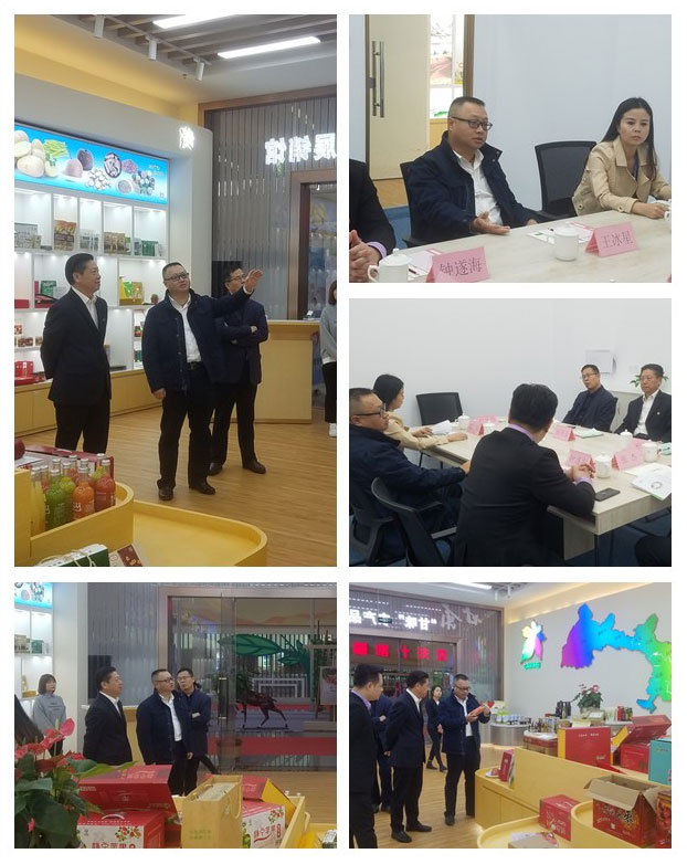 首页- 尊龙集团中国官方网站