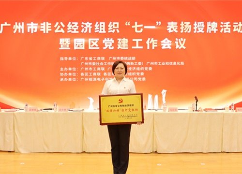 标杆引领，荣誉升级！集团党支部荣膺广州市非公有造经济组织“双强六好”标