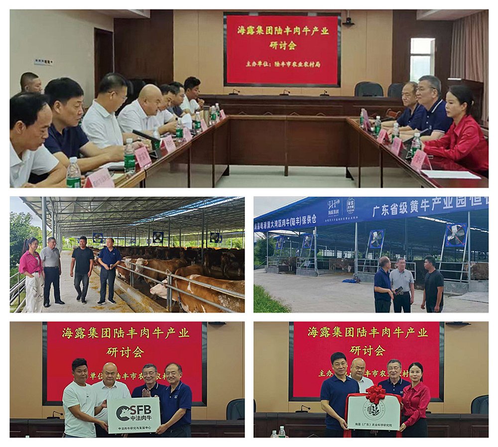 首页- 尊龙集团中国官方网站